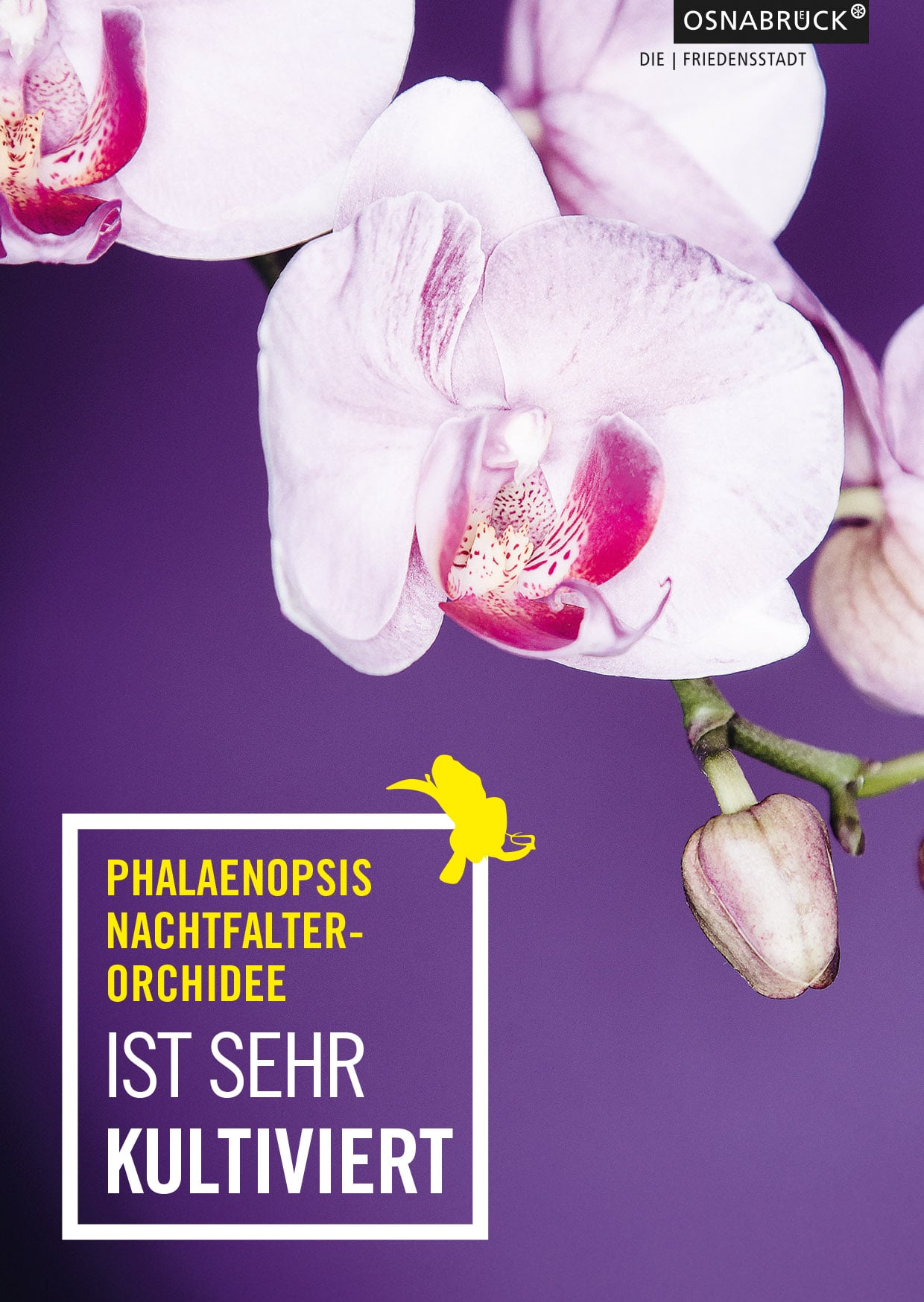 Design Postkarten für Orchideenausstellung in Osnabrück von der Osnabrücker Grafikdesignagentur Hasegold